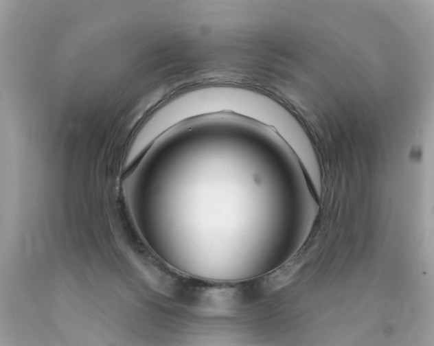X0000089900168200707262259