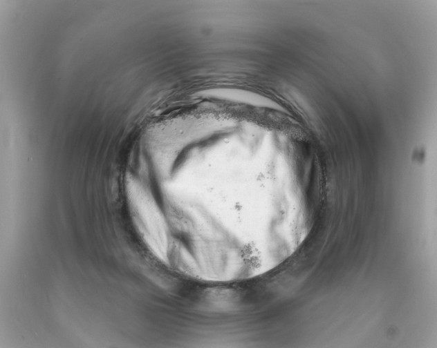 X0000089900169200707262259
