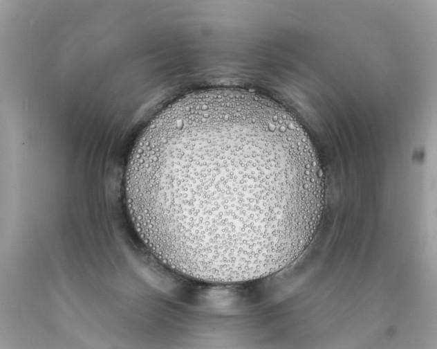 X0000089900171200707262259