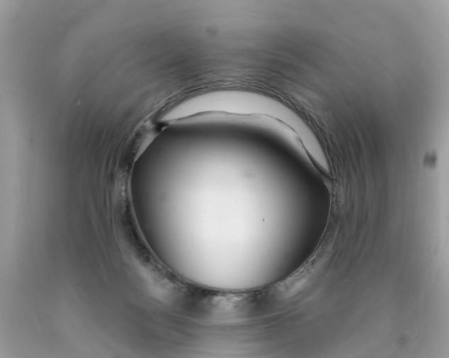 X0000089900172200707262259