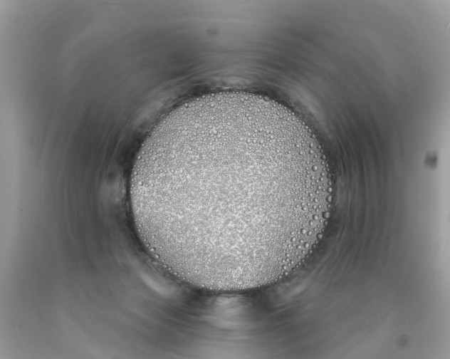 X0000089900173200707262259