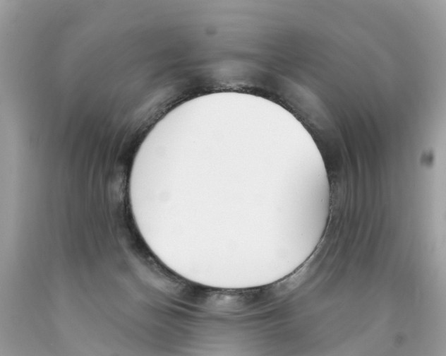 X0000089900174200707262259