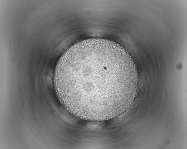 X0000089900175200707262259
