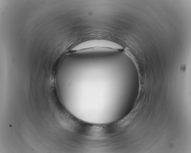 X0000089900176200707262259