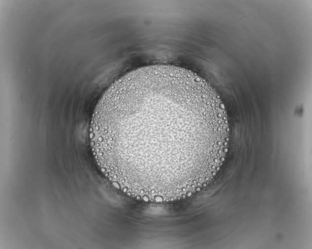 X0000089900177200707262259