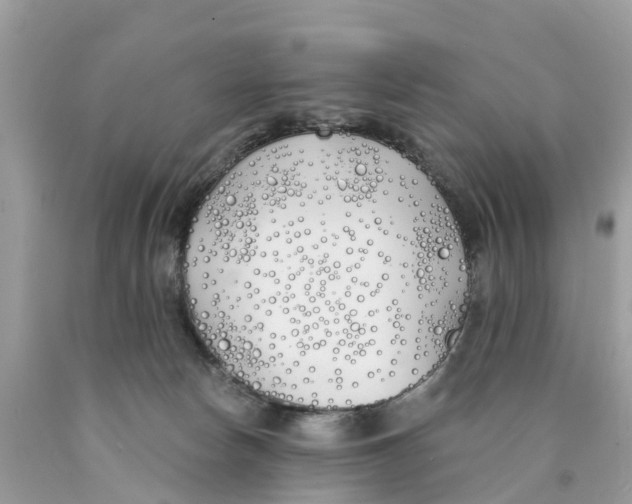 X0000089900178200707262259