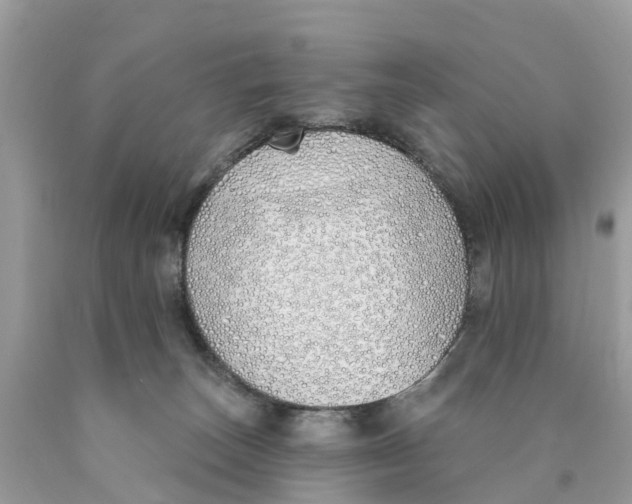 X0000089900179200707262259