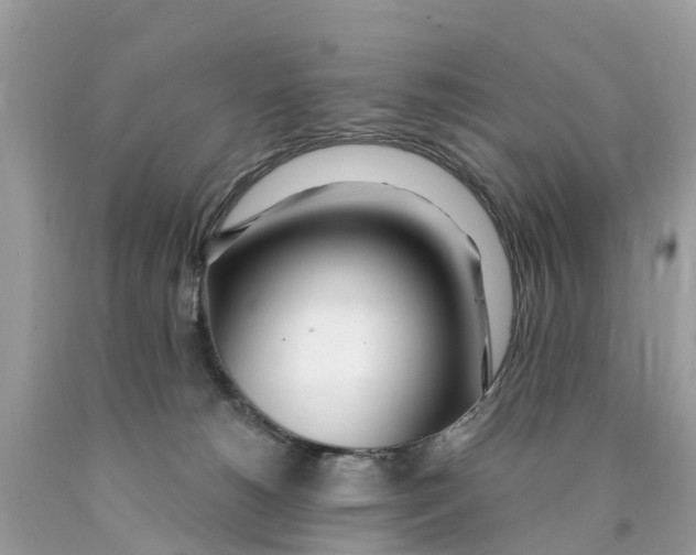 X0000089900180200707262259