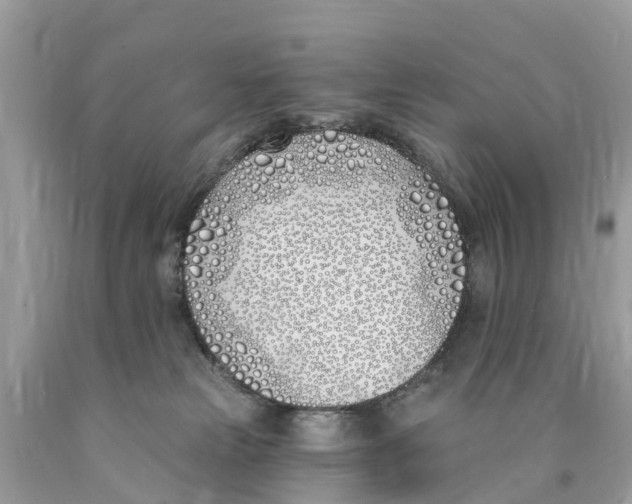 X0000089900181200707262259
