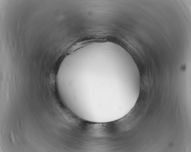 X0000089900184200707262259