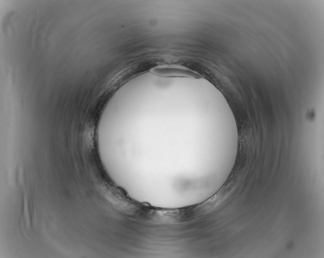 X0000089900188200707262259