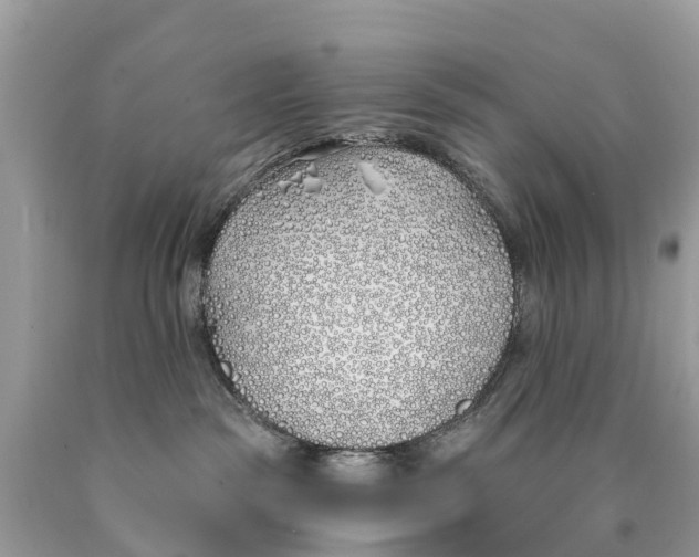 X0000089900189200707262259