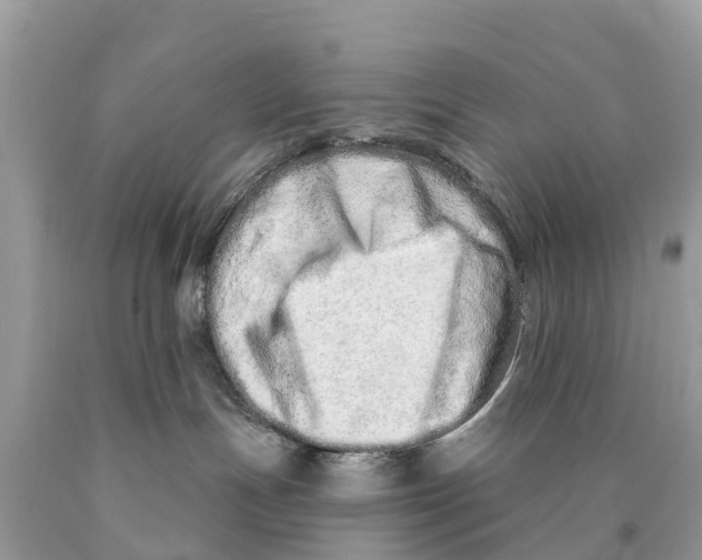 X0000089900191200707262259