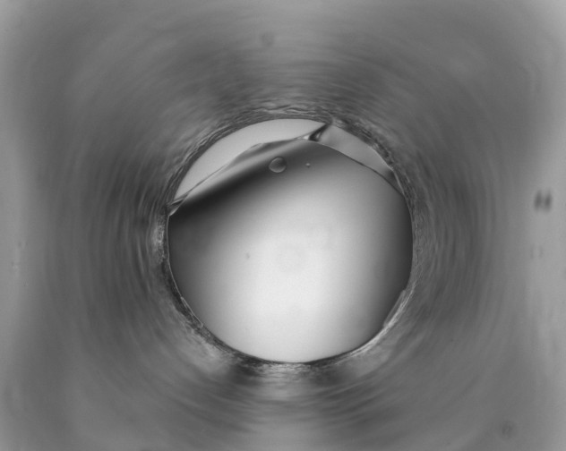 X0000089900192200707262259