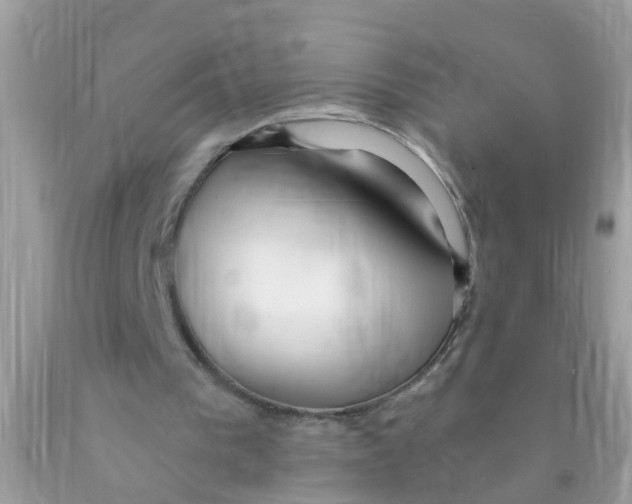 X0000089900193200707262258