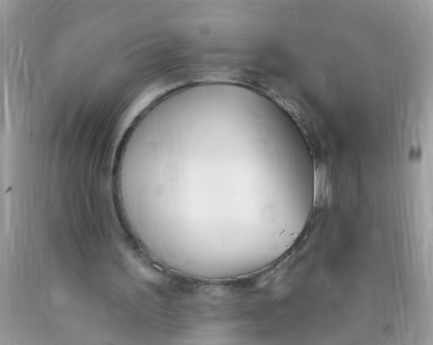 X0000089900195200707262258