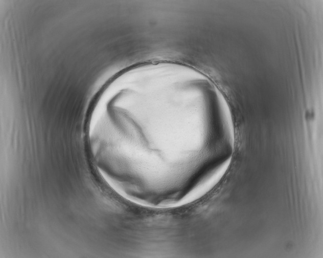 X0000089900196200707262258