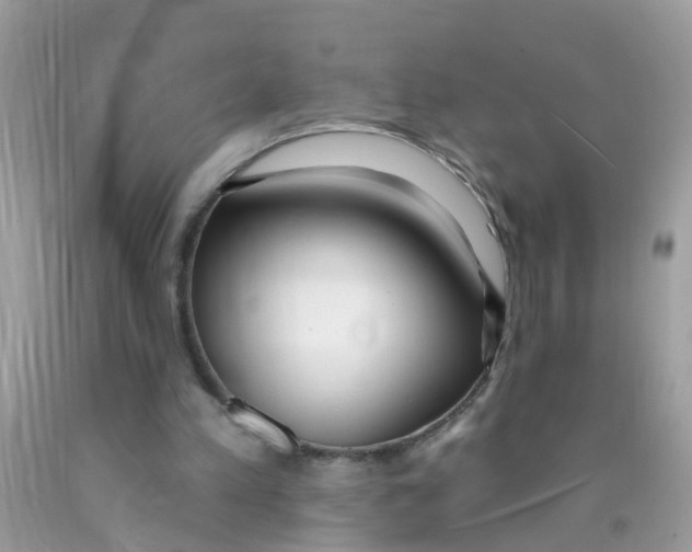 X0000089900197200707262258