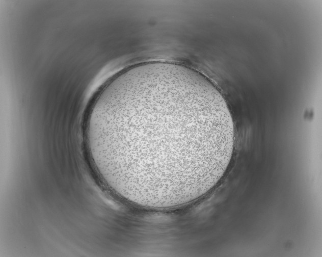 X0000089900198200707262258