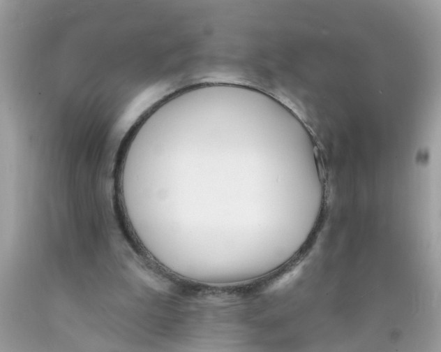 X0000089900199200707262258
