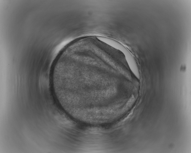 X0000089900200200707262258