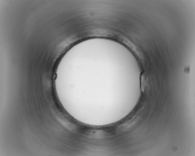 X0000089900203200707262258