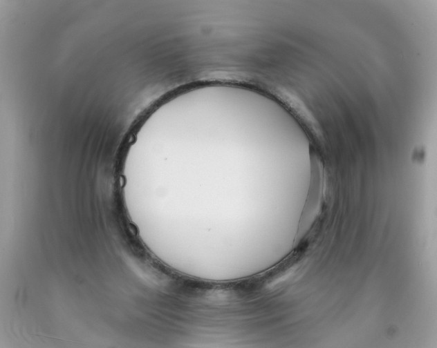 X0000089900204200707262258
