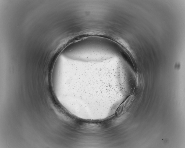 X0000089900205200707262258
