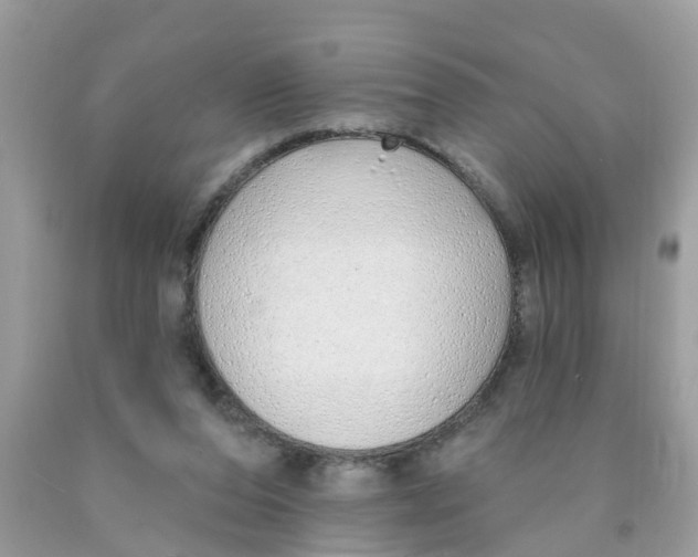 X0000089900208200707262258