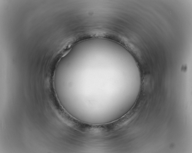 X0000089900209200707262258