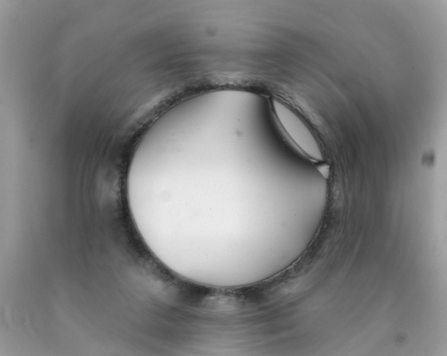 X0000089900211200707262258