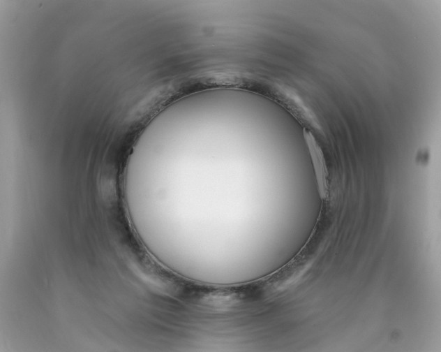 X0000089900213200707262258