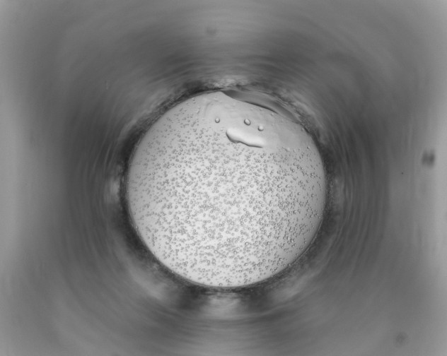 X0000089900214200707262258