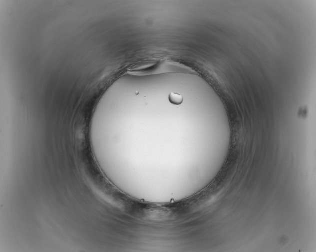 X0000089900215200707262258