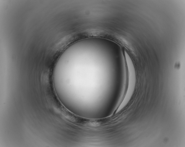 X0000089900217200707262258