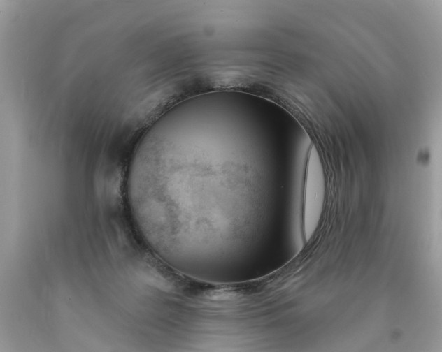 X0000089900219200707262258
