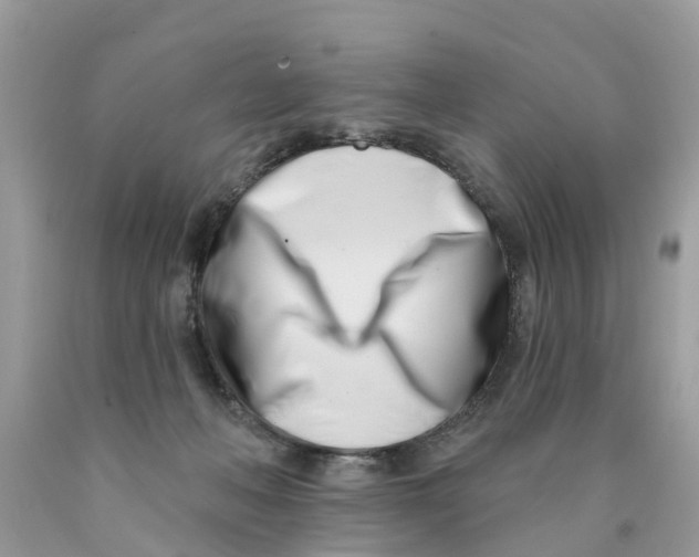 X0000089900222200707262258