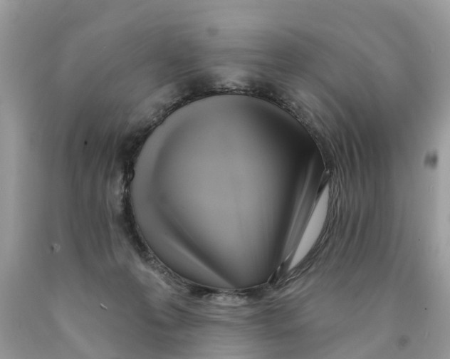 X0000089900223200707262258
