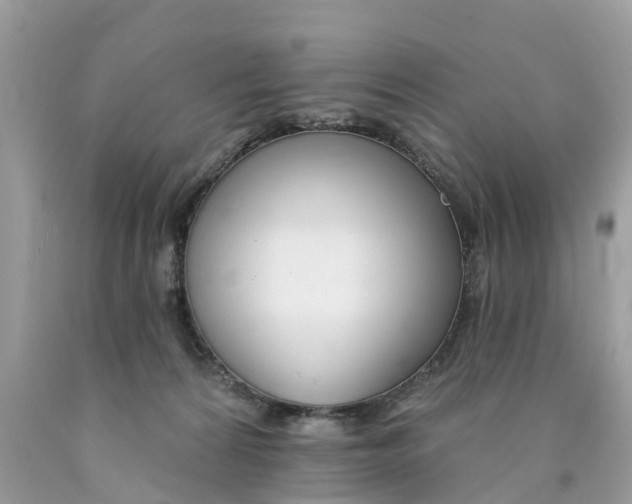 X0000089900224200707262258