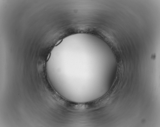 X0000089900225200707262258