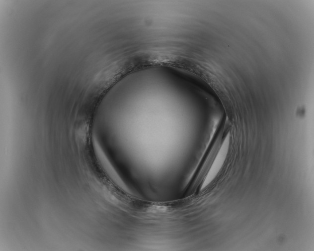 X0000089900227200707262258