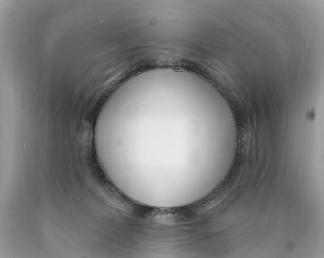 X0000089900228200707262258