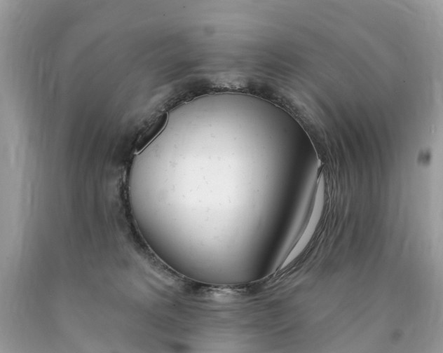 X0000089900229200707262258