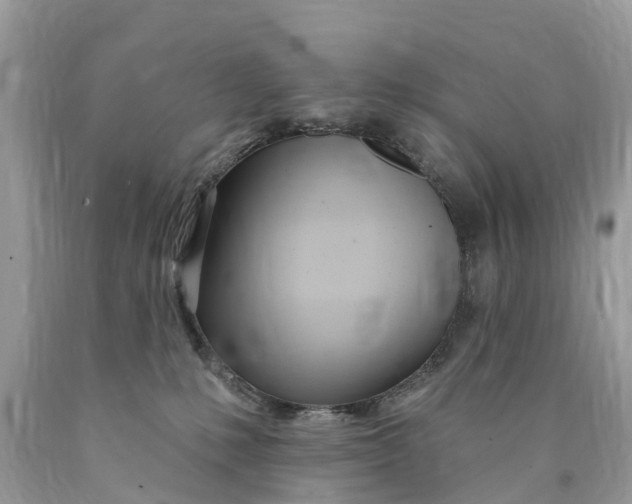 X0000089900231200707262258