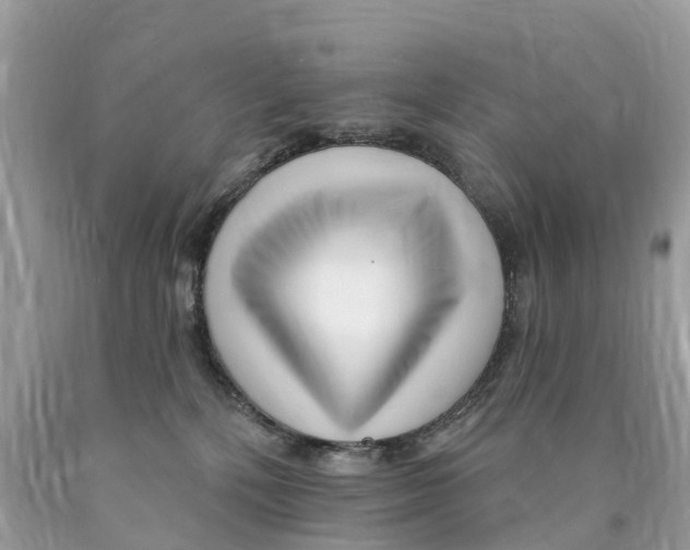 X0000089900232200707262258