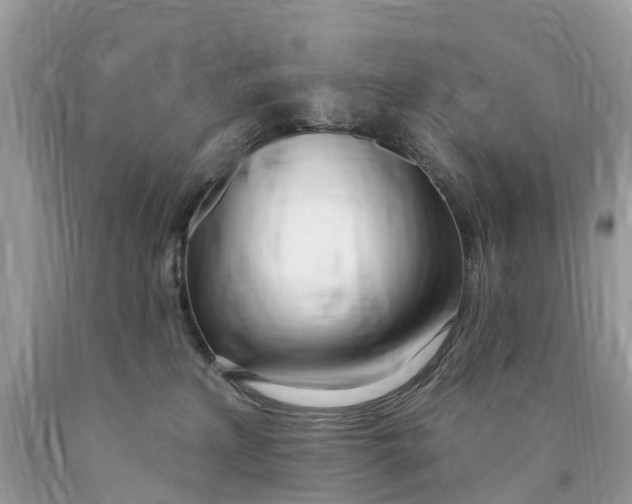 X0000089900233200707262258