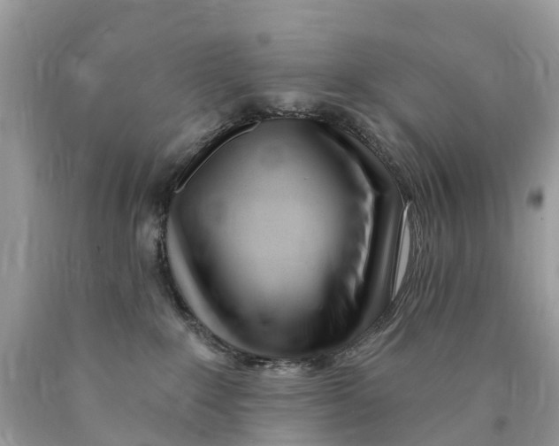 X0000089900235200707262258