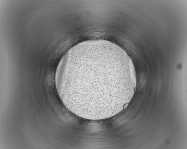 X0000089900236200707262258