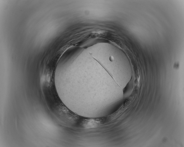 X0000089900239200707262258