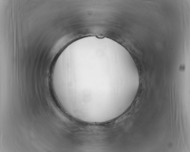 X0000089900242200707262257